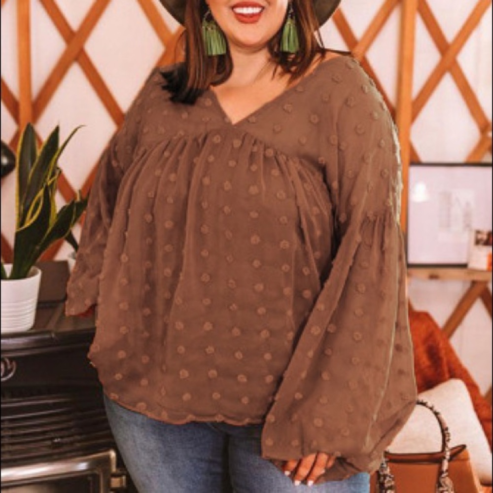 V Neck Lantern Sleeve Swiss Dot Plus Size Blouse